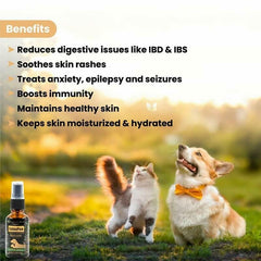Wiggles Cannapaw 30ML – CBD Oil for Dogs - dspetstore.com