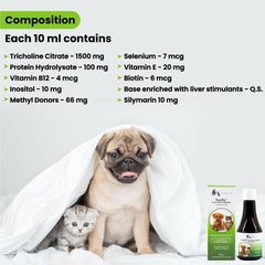 Wiggles Furliv Liver Support Tonic for Pets – 200 ml - dspetstore.com