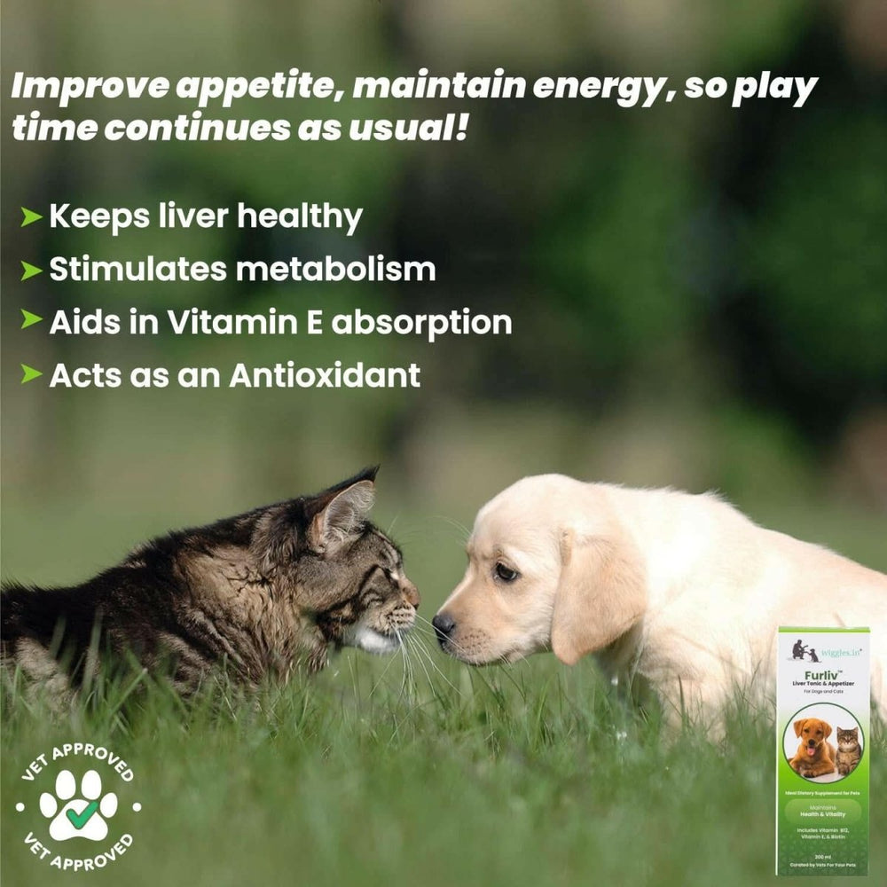 Wiggles Furliv Liver Support Tonic for Pets – 200 ml - dspetstore.com