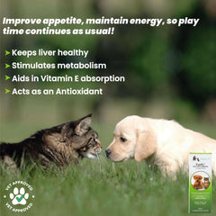 Wiggles Furliv Liver Support Tonic for Pets – 200 ml - dspetstore.com