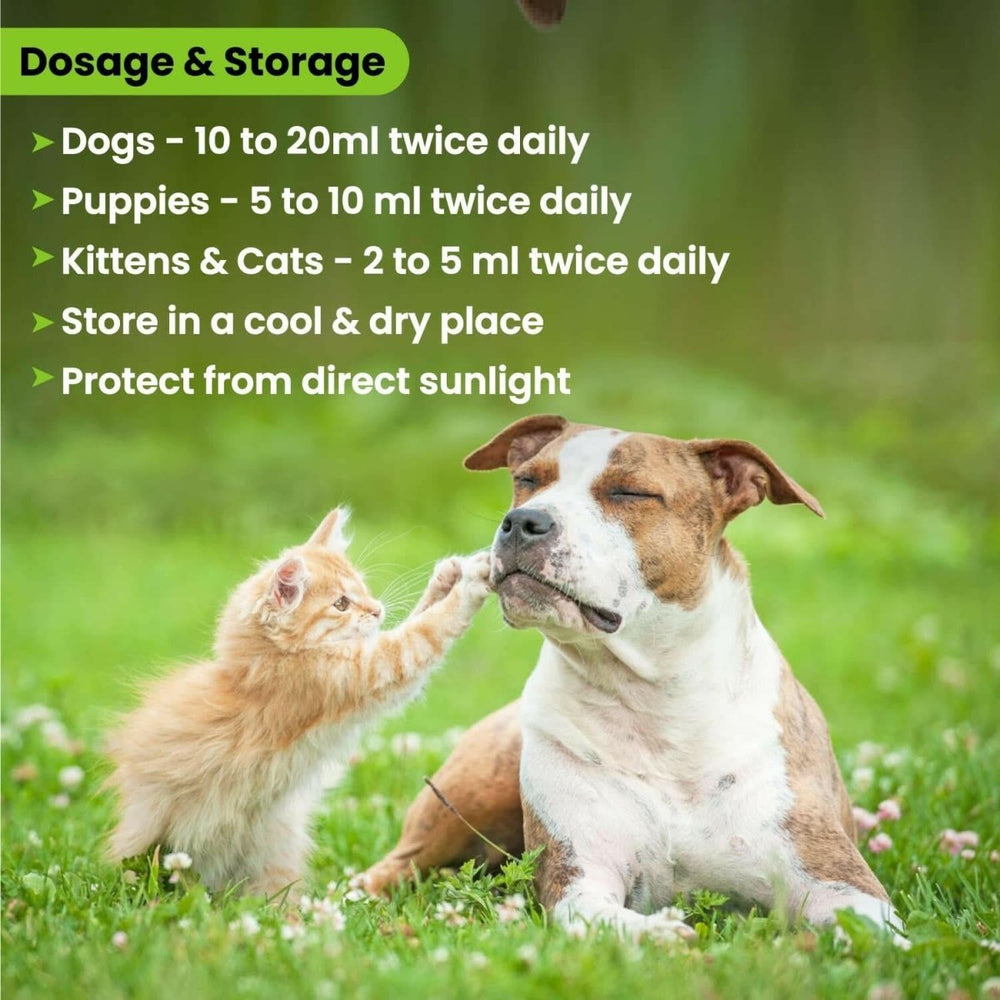 Wiggles Furliv Liver Support Tonic for Pets – 200 ml - dspetstore.com
