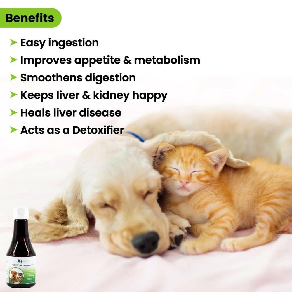 Wiggles Furliv Liver Support Tonic for Pets – 200 ml - dspetstore.com
