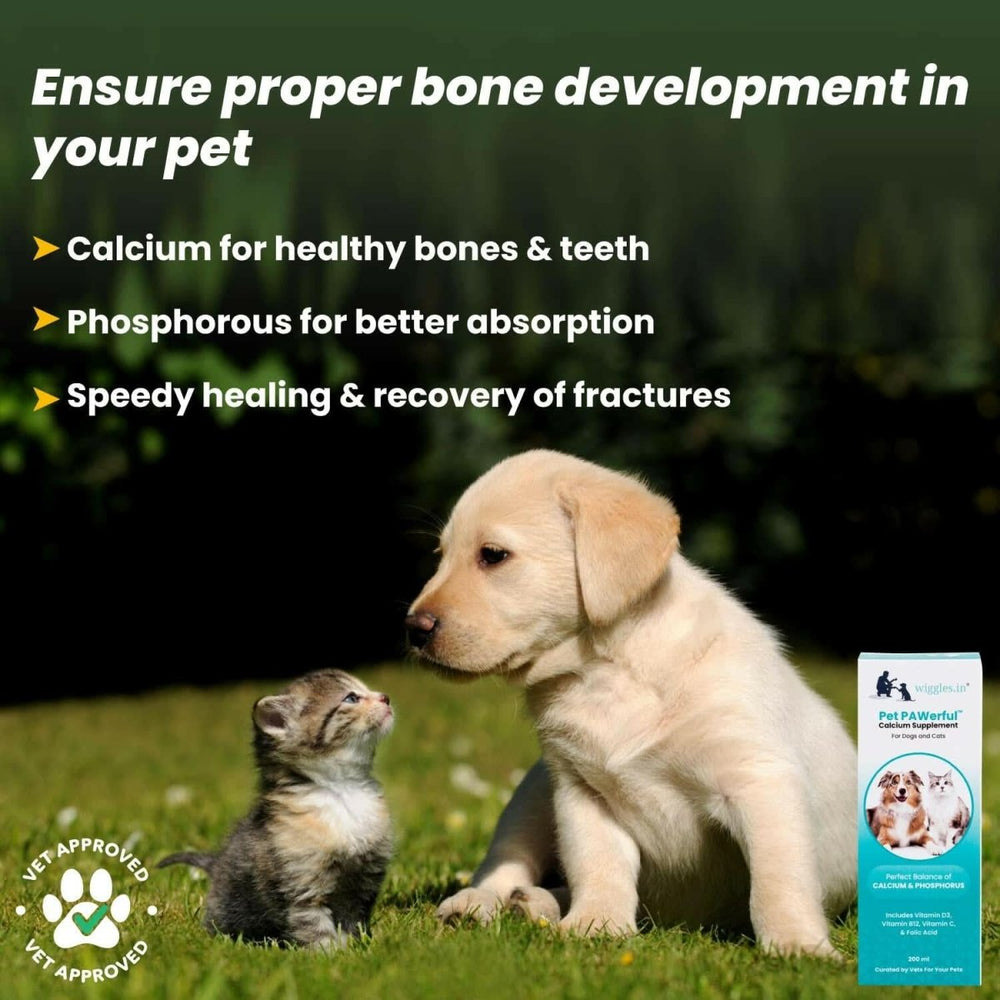 Wiggles PAWerful Calcium Phosphorus Syrup for Dogs and Cats – 200ml - dspetstore.com