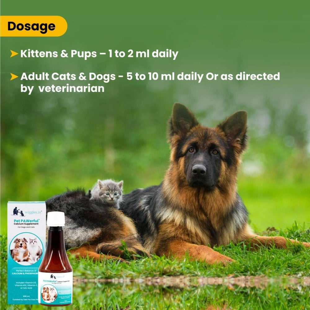 Wiggles PAWerful Calcium Phosphorus Syrup for Dogs and Cats – 200ml - dspetstore.com