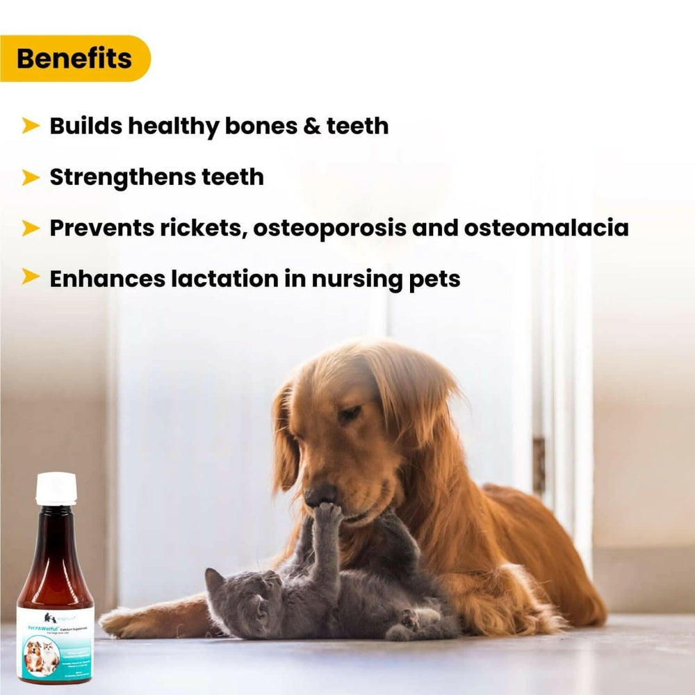Wiggles PAWerful Calcium Phosphorus Syrup for Dogs and Cats – 200ml - dspetstore.com