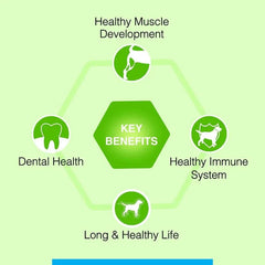 Canine Creek Adult Dry Dog Food - dspetstore.com