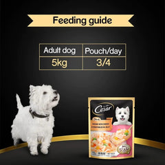 Cesar Wet Dog Food Sasami with Cheese & Vegetables in Jelly - dspetstore.com