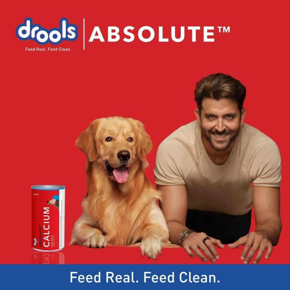 Drools Absolute Calcium Oil Syrup Supplement for Dogs and Cats - 300ml - dspetstore.com