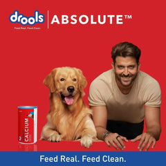 Drools Absolute Calcium Oil Syrup Supplement for Dogs and Cats - 300ml - dspetstore.com