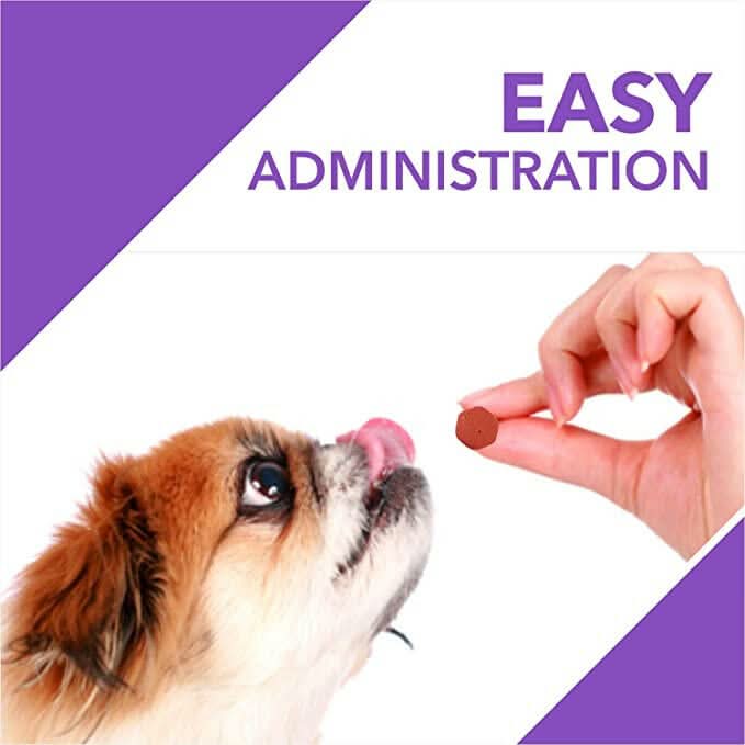 Drools Absolute Digestive Supplement for Dogs - dspetstore.com