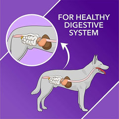 Drools Absolute Digestive Supplement for Dogs - dspetstore.com