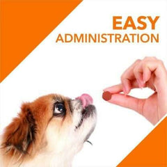 Drools Absolute Immunity Supplement for Dogs - dspetstore.com