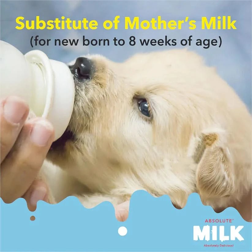 Drools Absolute Milk for Newborn Puppies - 500g - dspetstore.com