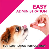 Drools Absolute Skin & Coat Supplement for Dogs - dspetstore.com