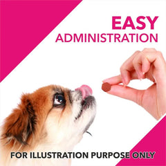 Drools Absolute Skin & Coat Supplement for Dogs - dspetstore.com