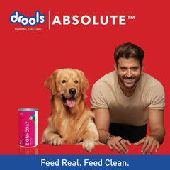 Drools Absolute Skin & Coat Syrup Supplement for Dogs - 300ml - dspetstore.com