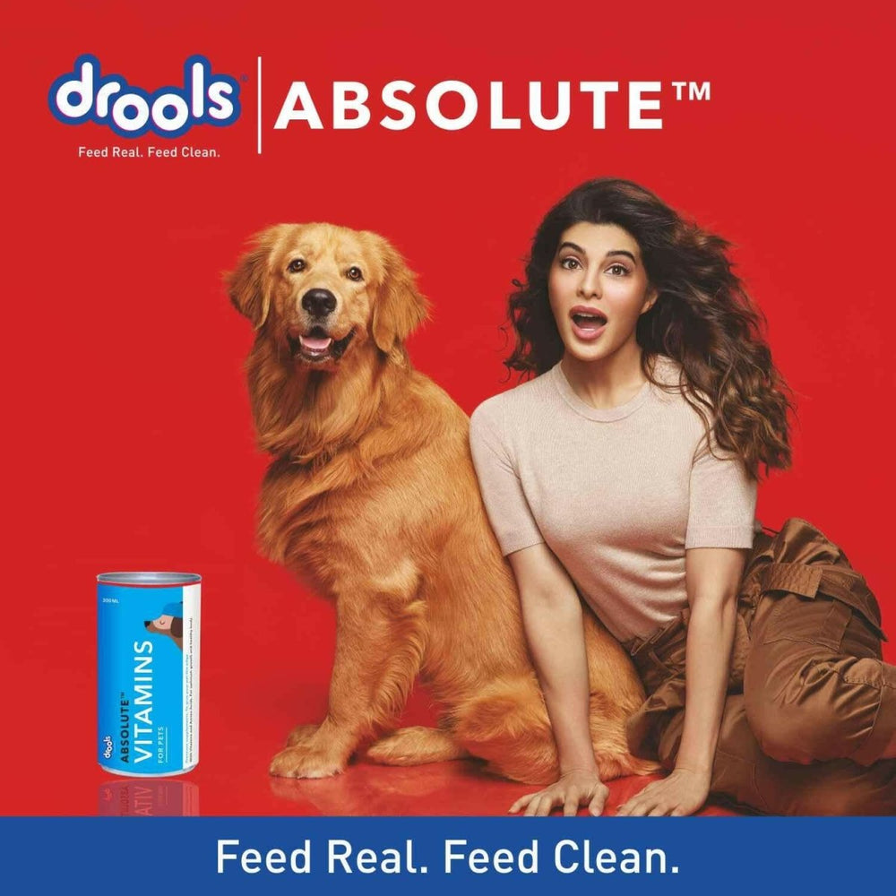 Drools Absolute Vitamin Syrup Supplement for Dogs - 300ml - dspetstore.com