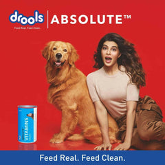 Drools Absolute Vitamin Syrup Supplement for Dogs - 300ml - dspetstore.com