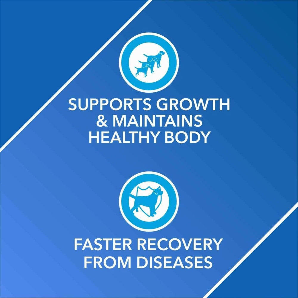 Drools Absolute Vitamin Syrup Supplement for Dogs - 300ml - dspetstore.com