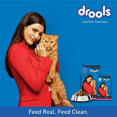 Drools Adult Cat Food Dry Mackerel Flavour - dspetstore.com