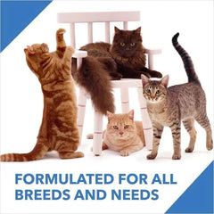 Drools Adult Cat Food Dry Ocean Fish Flavour - dspetstore.com