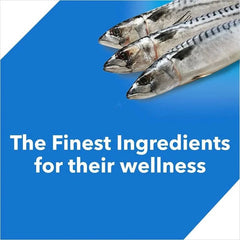 Drools Adult Cat Food Dry Ocean Fish Flavour - dspetstore.com