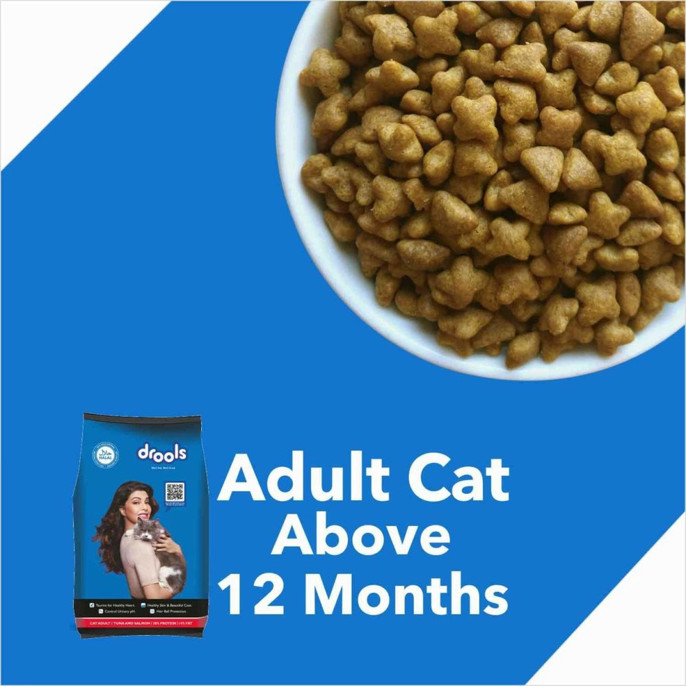 Drools Adult Cat Food Dry Salmon Flavour - dspetstore.com