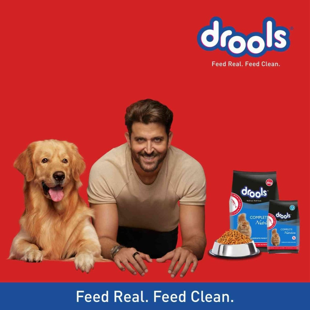 Drools Adult Cat Food Dry Salmon Flavour - dspetstore.com
