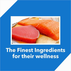 Drools Adult Cat Food Dry Salmon Flavour - dspetstore.com