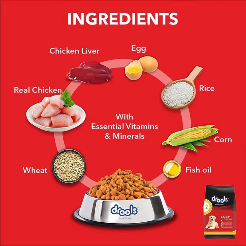 Drools Adult Dog Food Chicken & Egg - dspetstore.com