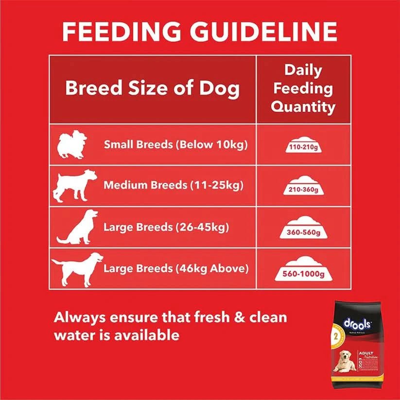 Drools Adult Dog Food Chicken & Egg - dspetstore.com