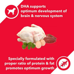 Drools Adult Dog Food Chicken & Egg - dspetstore.com