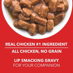 Drools Adult Dog Wet Food Real Chicken and Chicken Liver Chunks in Gravy - dspetstore.com
