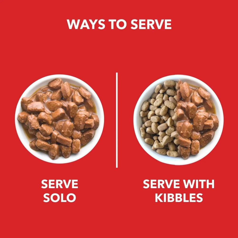 Drools Adult Dog Wet Food Real Chicken and Chicken Liver Chunks in Gravy - dspetstore.com