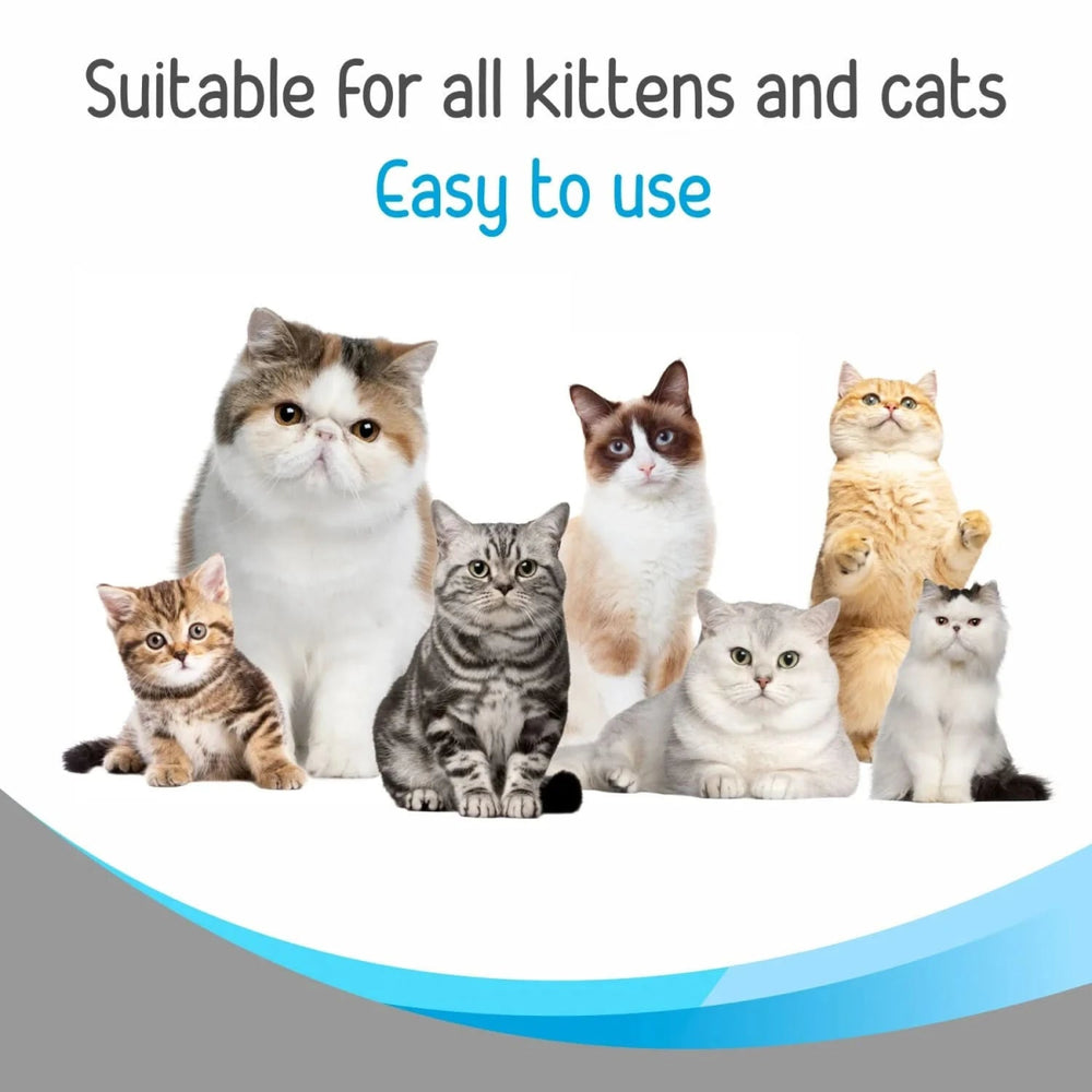 Drools Complete Care Shampoo for Cats, 200 ml - dspetstore.com