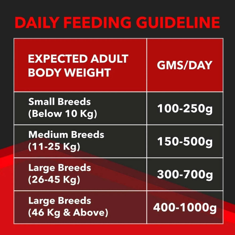 Drools Focus Adult Dog Food – Premium Dry Food for Adult Dogs - dspetstore.com