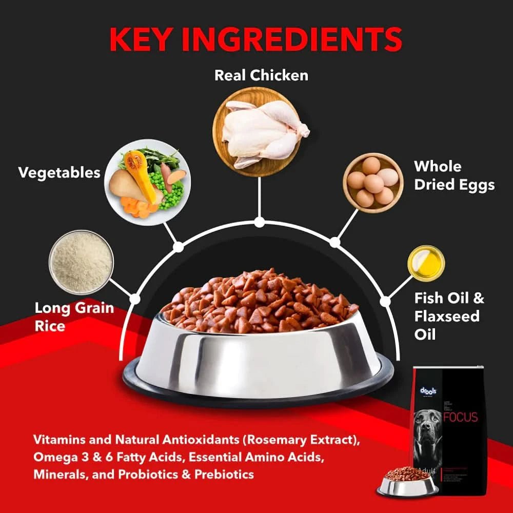 Drools Focus Adult Dog Food – Premium Dry Food for Adult Dogs - dspetstore.com