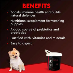 Drools Focus Pup Booster Puppy Weaning Diet 300 g - dspetstore.com