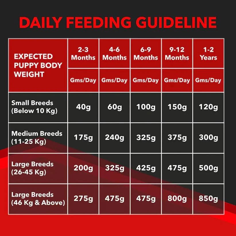 Drools Focus Puppy Super Premium Dry Dog Food - dspetstore.com