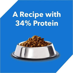 Drools Kitten Food Dry Ocean Fish - dspetstore.com