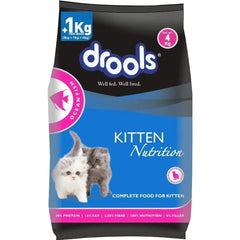Drools Kitten Food Dry Ocean Fish - dspetstore.com