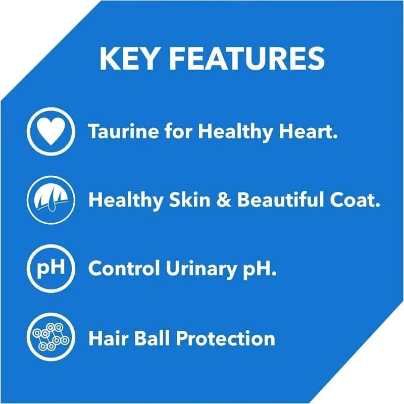 Drools Kitten Food Dry Ocean Fish - dspetstore.com