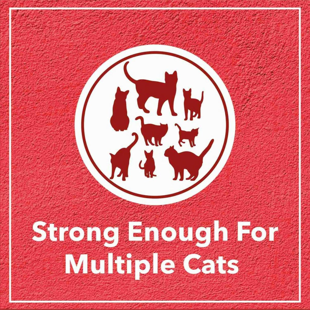 Drools Lavender Scented Clumping Cat Litter - dspetstore.com