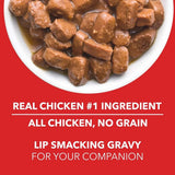 Drools Puppy Wet Dog Food Real Chicken and Chicken Liver Chunks in Gravy - dspetstore.com