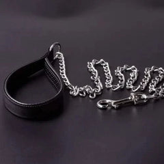 Eagle Pet Products Heavy Duty Metal Dog Leash with Handle for Small & Medium Size Dogs - dspetstore.com