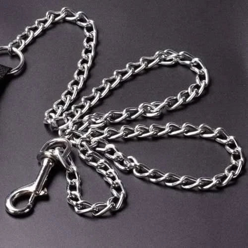 Eagle Pet Products Heavy Duty Metal Dog Leash with Handle for Small & Medium Size Dogs - dspetstore.com