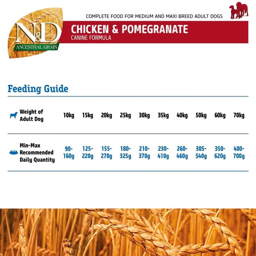 Farmina Ancestral Grain Medium & Maxi Breed Adult Dry Dog Food - Chicken & Pomegranate - dspetstore.com