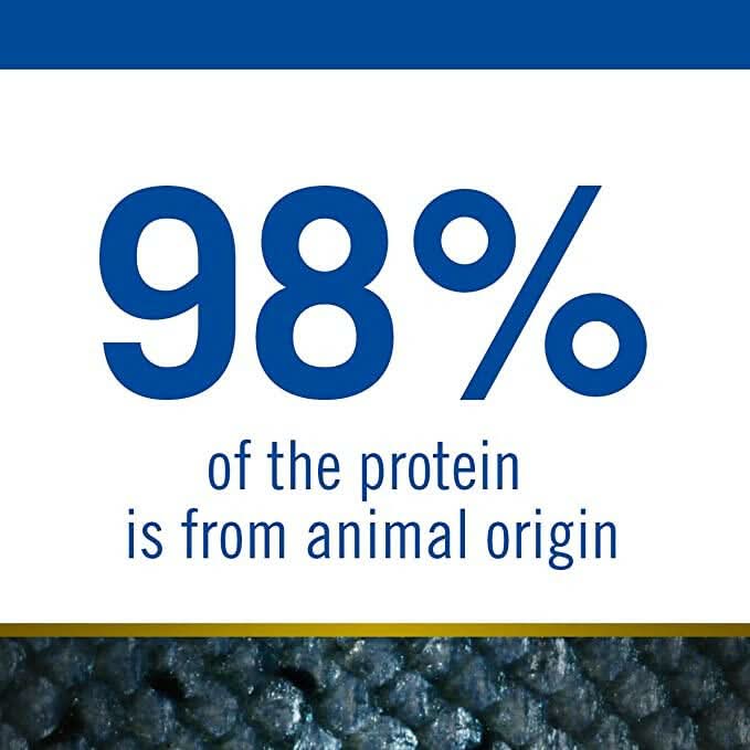 Farmina Dry Cat Food N&D Herring & Orange Grain Free Ocean - dspetstore.com