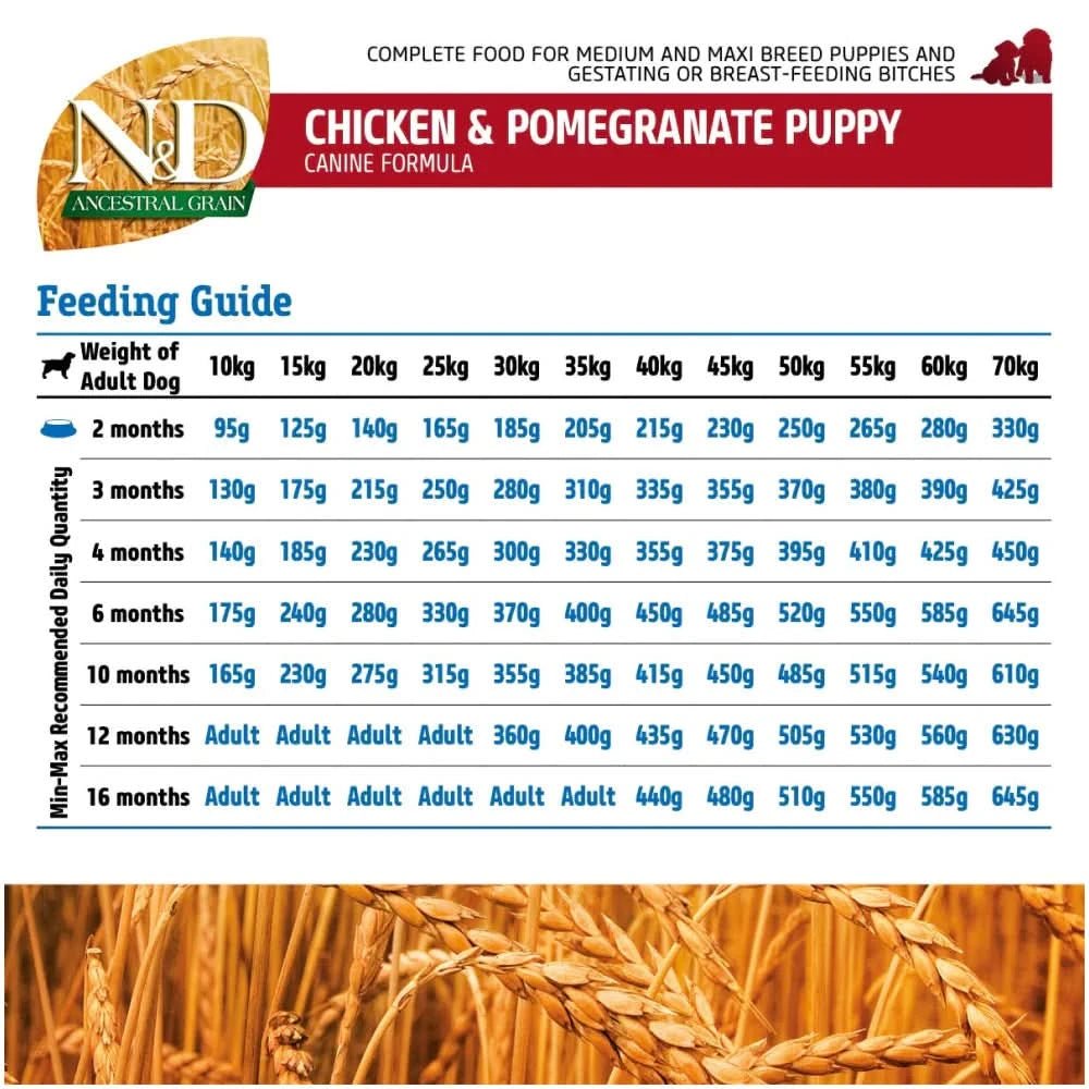 Farmina N&D Ancestral Grain Chicken and Pomegranate Dry Food Puppy Medium and Maxi Breed - dspetstore.com