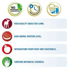 Farmina N&D Dry Cat Food Lamb & Blueberry - dspetstore.com